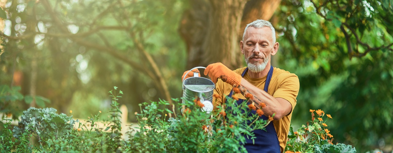 Gardening as Therapy: How Cultivating Plants Can Boost Your Health